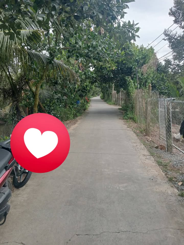 Đất nền Thị Xã Cai Lậy 3600m² - Tiềm năng tăng giá!