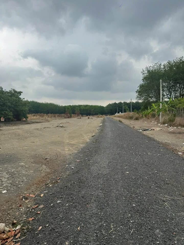 Đất nền Đồng Xoài 990m² giá 1.6 tỷ - Tiềm năng tăng giá!