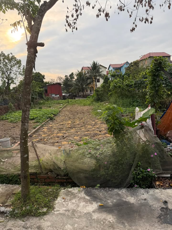 Bán Đất Nền Ngọc Khám, Thuận Thành, Bắc Ninh - 120m² Sổ Đỏ Vuông Vắn