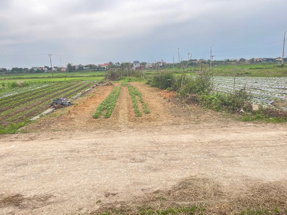 Đất Nền Tiên Du, Bắc Ninh 137.5m² - Sổ Đỏ Rõ Ràng, Giá 1 Tỷ