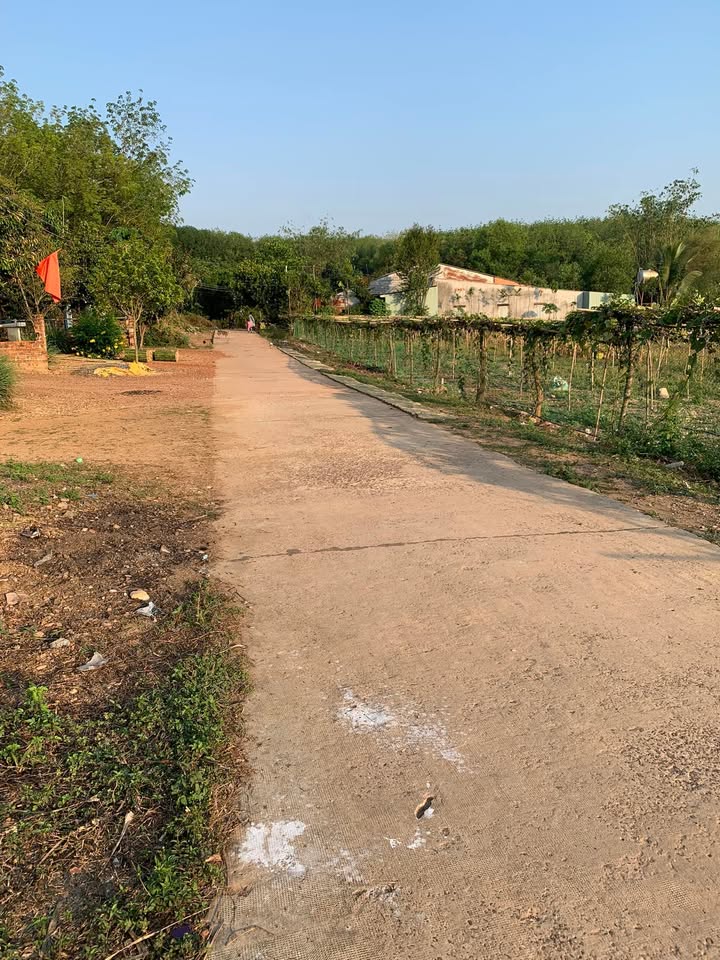 Đất nền Đồng Tâm 3640m² giá 350 triệu - Tiềm năng tăng giá!