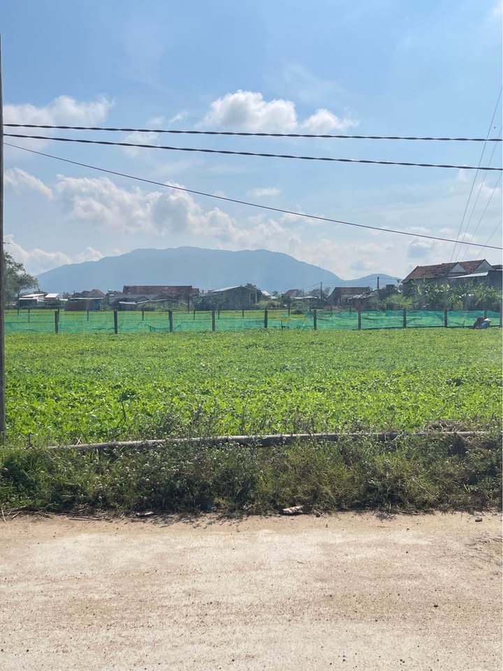 Đất Nền Cát Trinh, Phù Cát 166m² - Sổ Đỏ Thổ Cư Sẵn Sàng