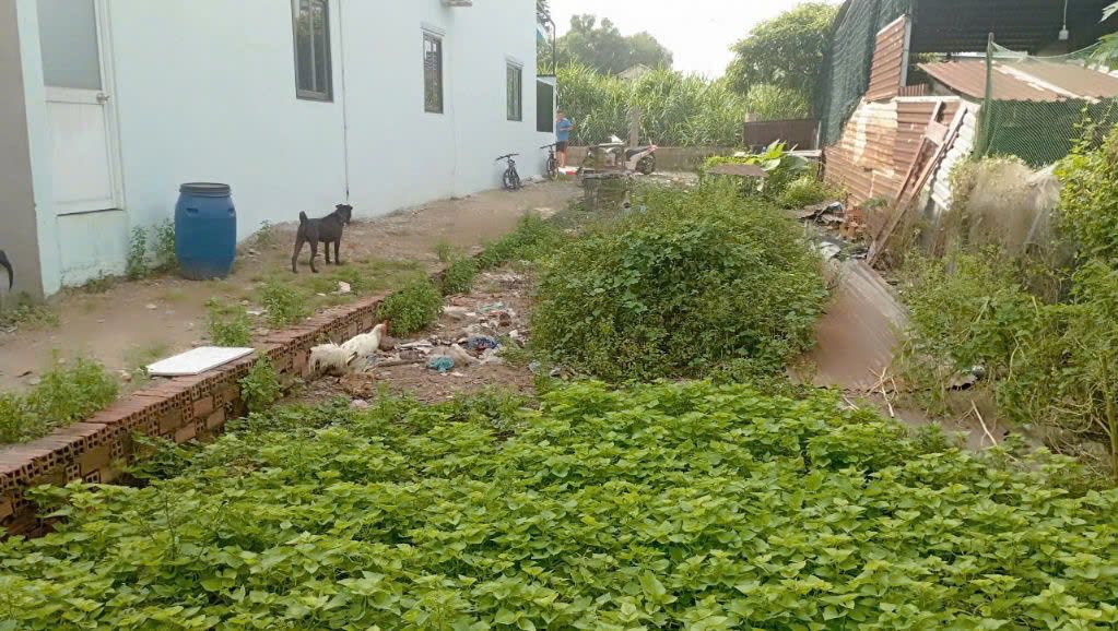 Đất nền Tân Hiệp Hóc Môn 100m² - Pháp lý rõ ràng