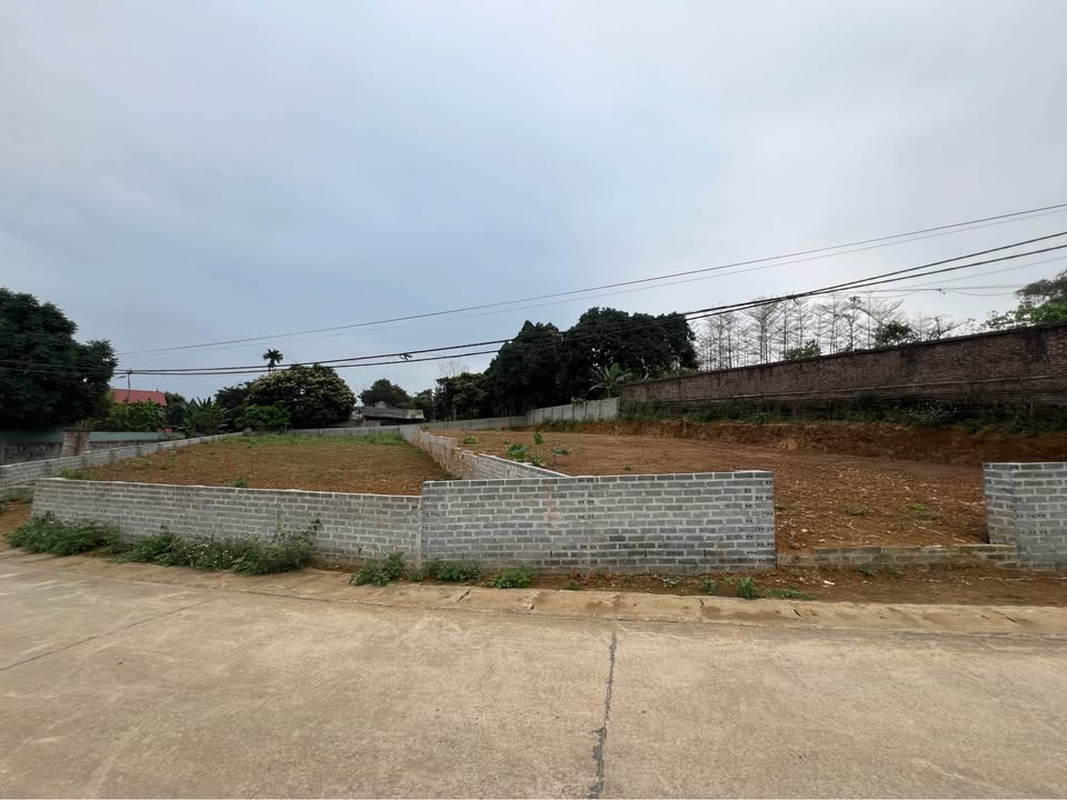 Đất Vườn Ba Vì 1300m² - View Đồi Nghệ Sĩ, Sổ Đỏ Thổ Cư