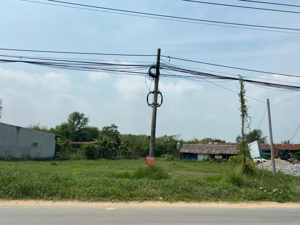 Đất nền Củ Chi 190m² Sổ đỏ chính chủ, tiềm năng tăng giá!