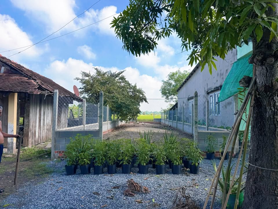 Đất nền 185.5m² Tân An Hội, Củ Chi - Giá 850 Triệu, Chính Chủ