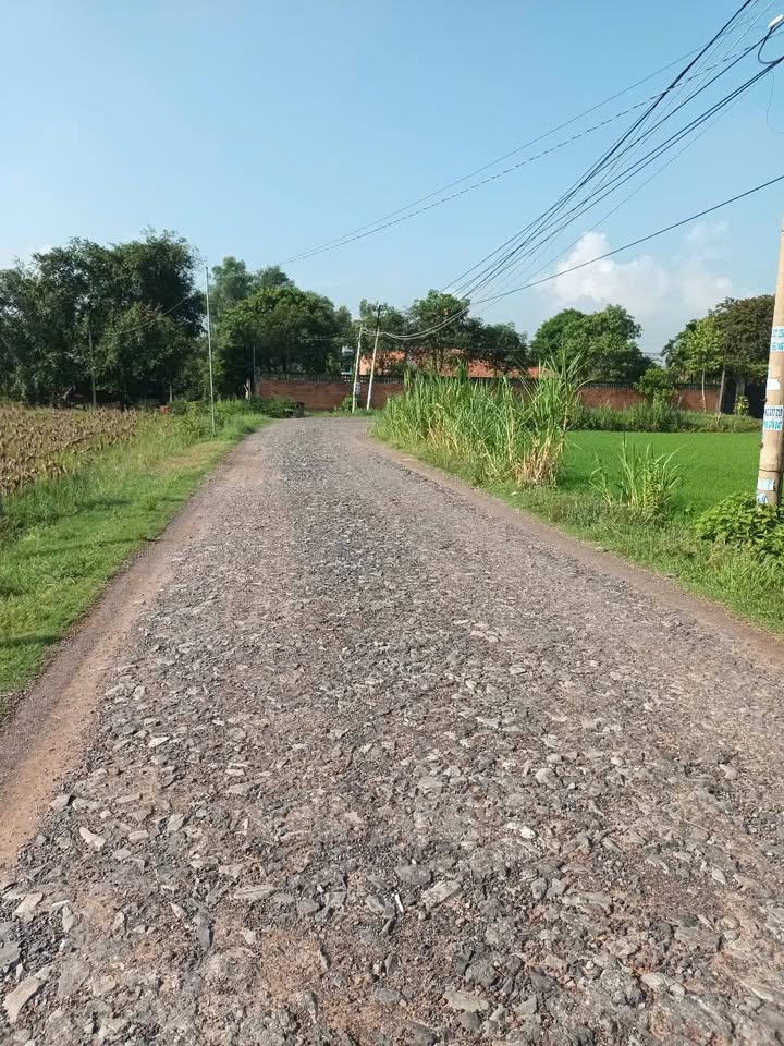 Đất nền Trảng Bàng, Tây Ninh 1824m² - Sổ đỏ sẵn sàng đầu tư