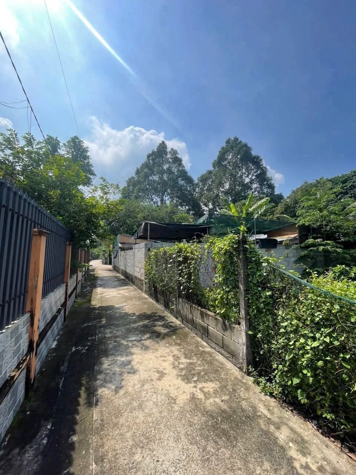 Đất nền Củ Chi 1245m² - Sổ hồng thổ cư 300m² - Giá 3.2 tỷ