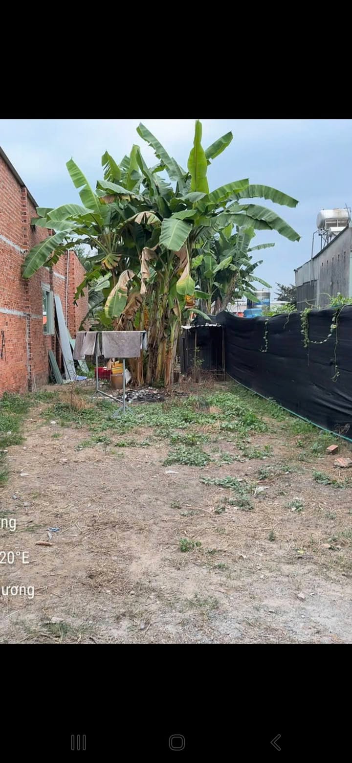 Bán Đất 105m² Phường Hòa Lợi, Bến Cát - Giá 1.2 Tỷ, Dân Cư Đông Đúc