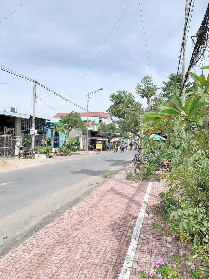 Bán Đất Nền Cái Bè, Tiền Giang 240m² Sổ Đỏ Riêng - Kinh Doanh Thuận Lợi