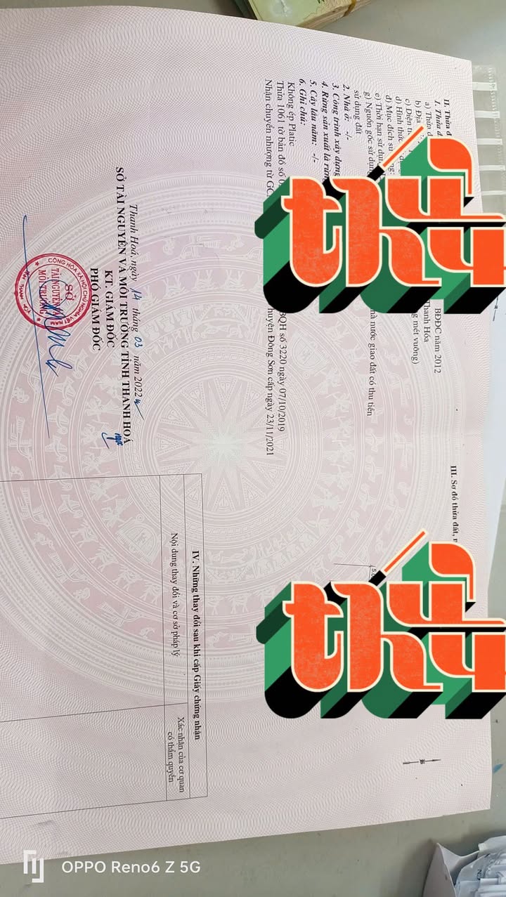 Đất nền Đô thị Rừng Thông 100m² - Tiềm năng tăng giá vượt trội!