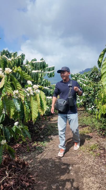 Bán Gấp Đất Vườn Cafe 10.000m² Sổ Hồng Riêng Tại Đạ K' Nàng, Lâm Đồng - Giá 3.6 Tỷ