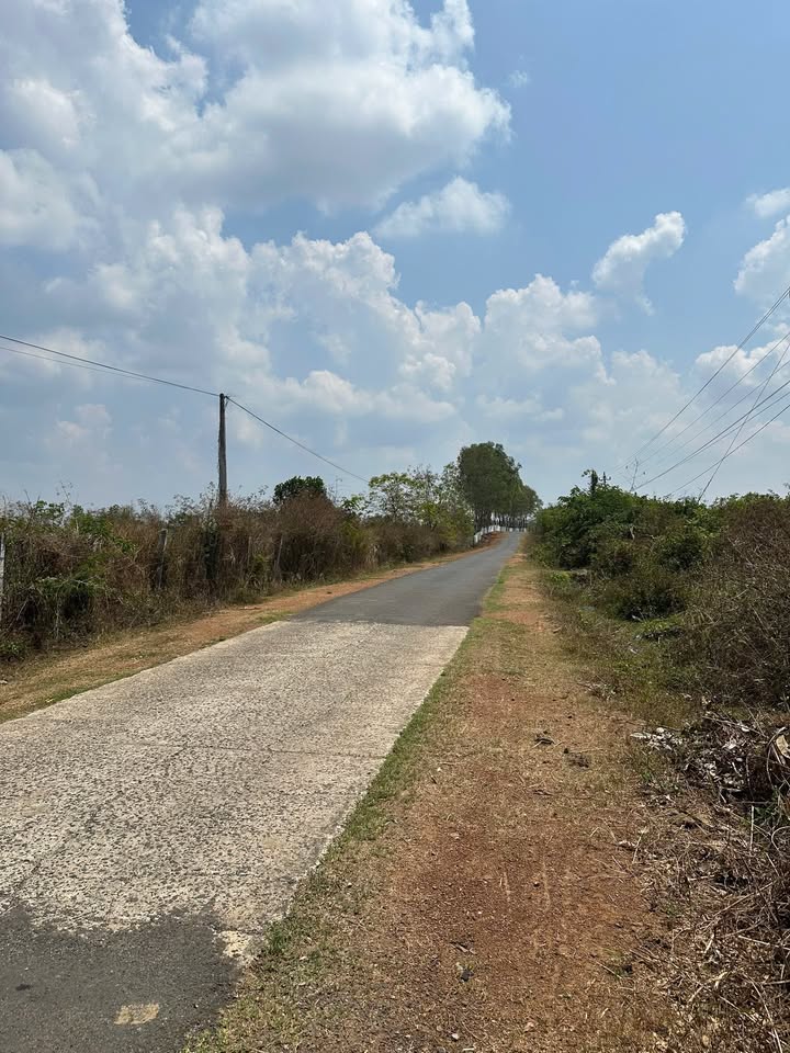 Đất nền Ea Nuôi Buôn Đôn 6.500m² 10,83 tỷ - Sổ đỏ