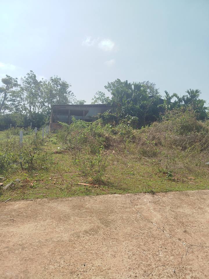 Đất nền Cư Suê 136m² giá 1.35 tỷ - Đường ô tô né nhau, xây tự do!