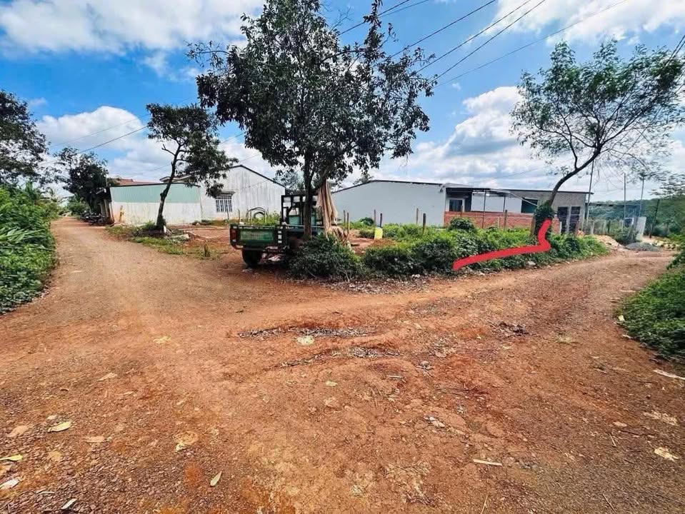 Đất Nền Mặt Tiền Nguyễn Hiền, Buôn Hồ 145m² - Giá 1.25 Tỷ