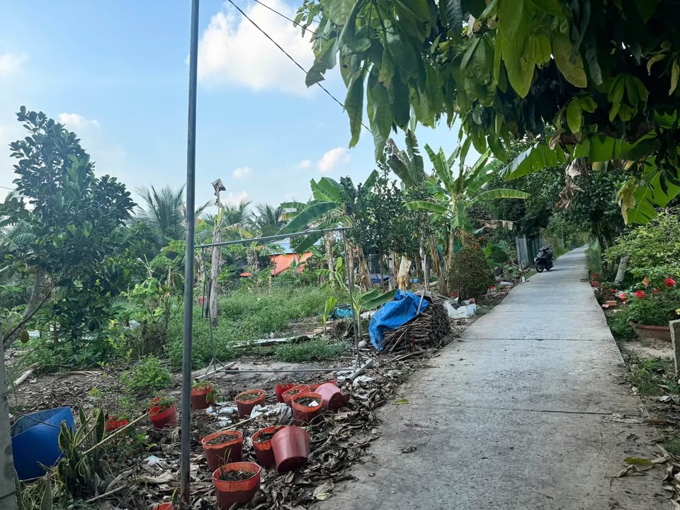 Đất nền Đông Thành Vĩnh Long 80m² - Tiềm năng tăng giá mạnh!