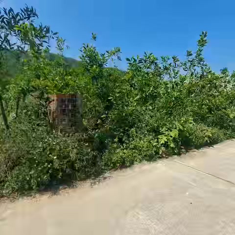 Đất nền Phước Mỹ Quy Nhơn 870m² 1.4 tỷ - Tiềm năng tăng giá vượt trội!