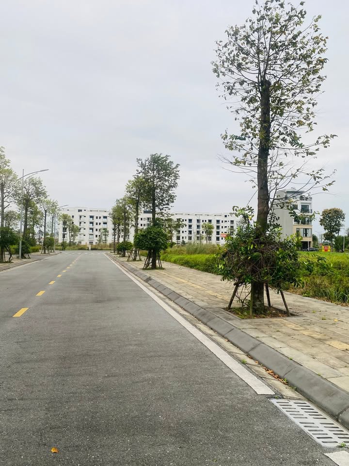 Đất nền ADMI Bắc Ninh 85m² - Sổ đỏ chính chủ, sang tên ngay!