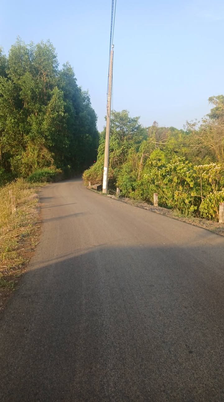 Đất nền 1360m² Bình Giã, Châu Đức - Sổ hồng sẵn, giá 1.2 tỷ