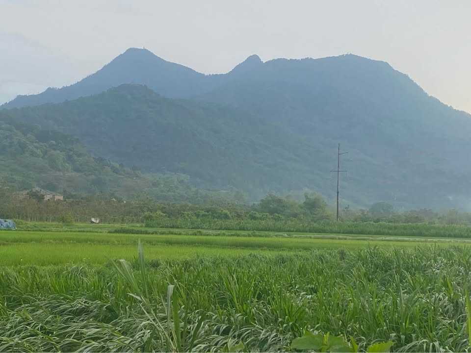 Đất nền 2000m² mặt tiền Tản Lĩnh, Sơn Tây - Sẵn sàng xây xưởng, kho bãi