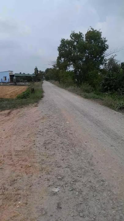 Bán Đất Đức Hòa Long An 2200m² Mặt Tiền Kênh - Sẵn Sàng Xây Kho Xưởng