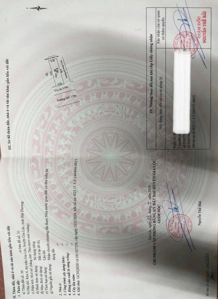 Đất nền kinh doanh Gia Lộc 80m² - Vị trí đắc địa, sẵn sàng xây dựng