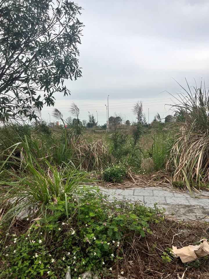 Đất nền Hoằng Thanh 105m² giá 1.1 tỷ - Tiềm năng tăng giá vượt trội!