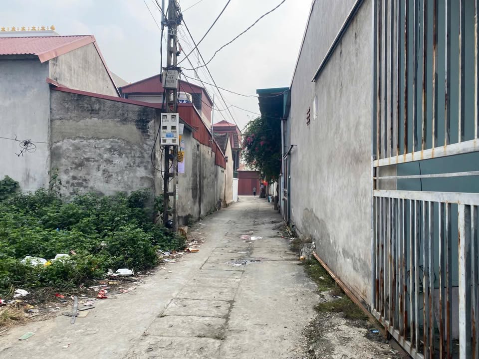 Đất nền Phượng Mao, Quế Võ, Bắc Ninh 87m² - Tiềm năng tăng giá vượt trội!