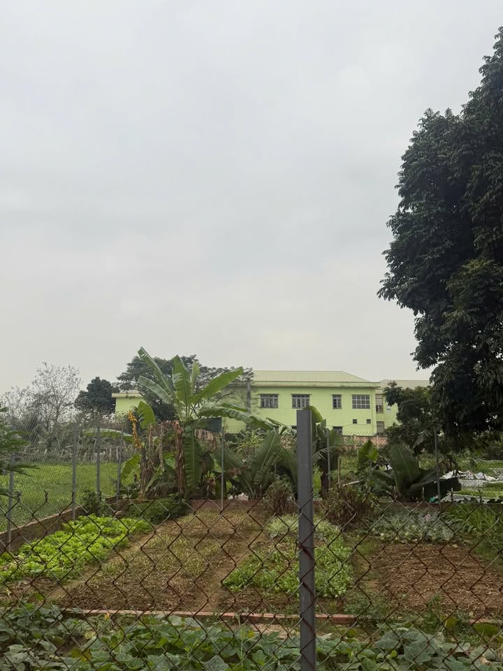 Đất Nền Yên Nghĩa Hà Đông 55m² - Tiềm năng tăng giá vượt trội!