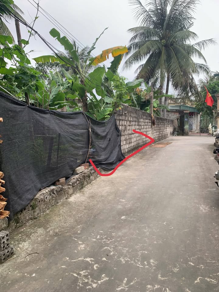 Đất nền Trung Thắng Hậu Lộc 125m² giá 800 triệu - Sổ đỏ chính chủ