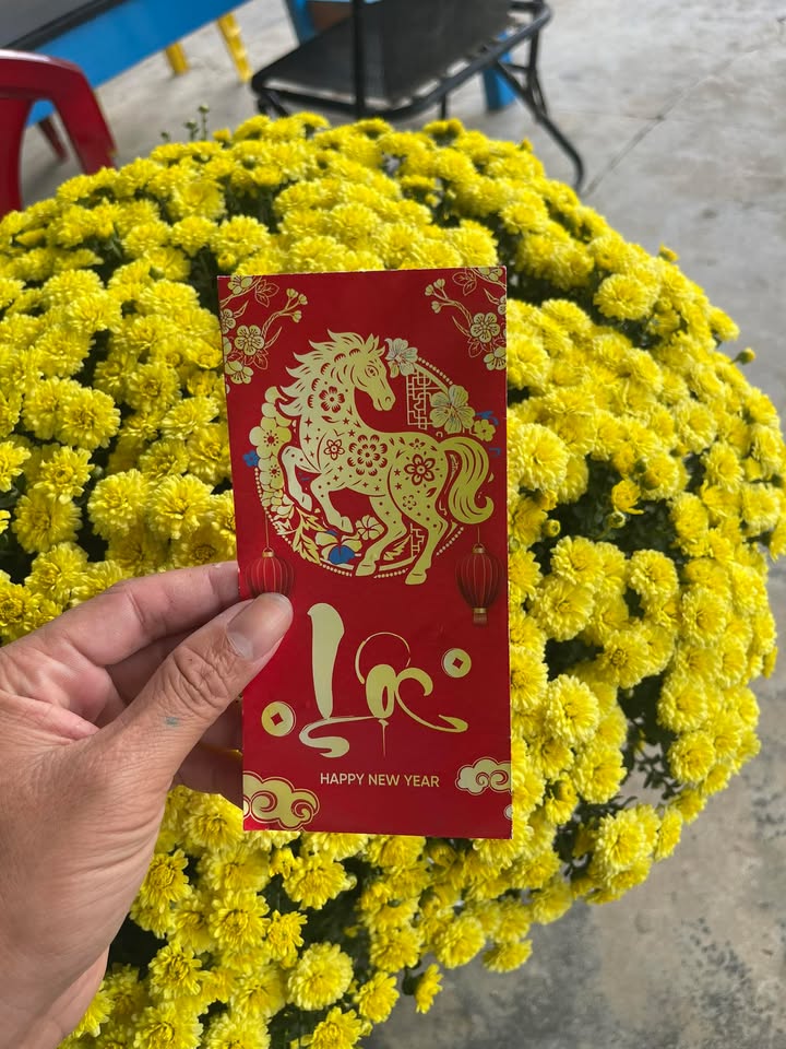 Đất nền Duy Hải 150m² - Sổ hồng chính chủ, tiềm năng tăng giá!