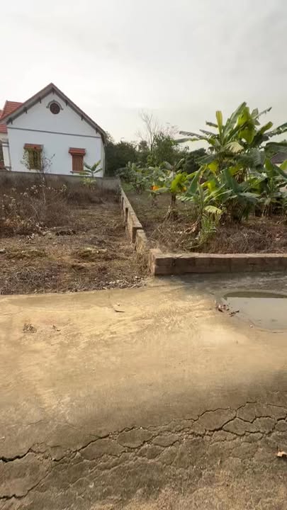 Đất nền Mạo Khê 92.7m² - Sổ đỏ chính chủ, Giá chỉ 5xx triệu!