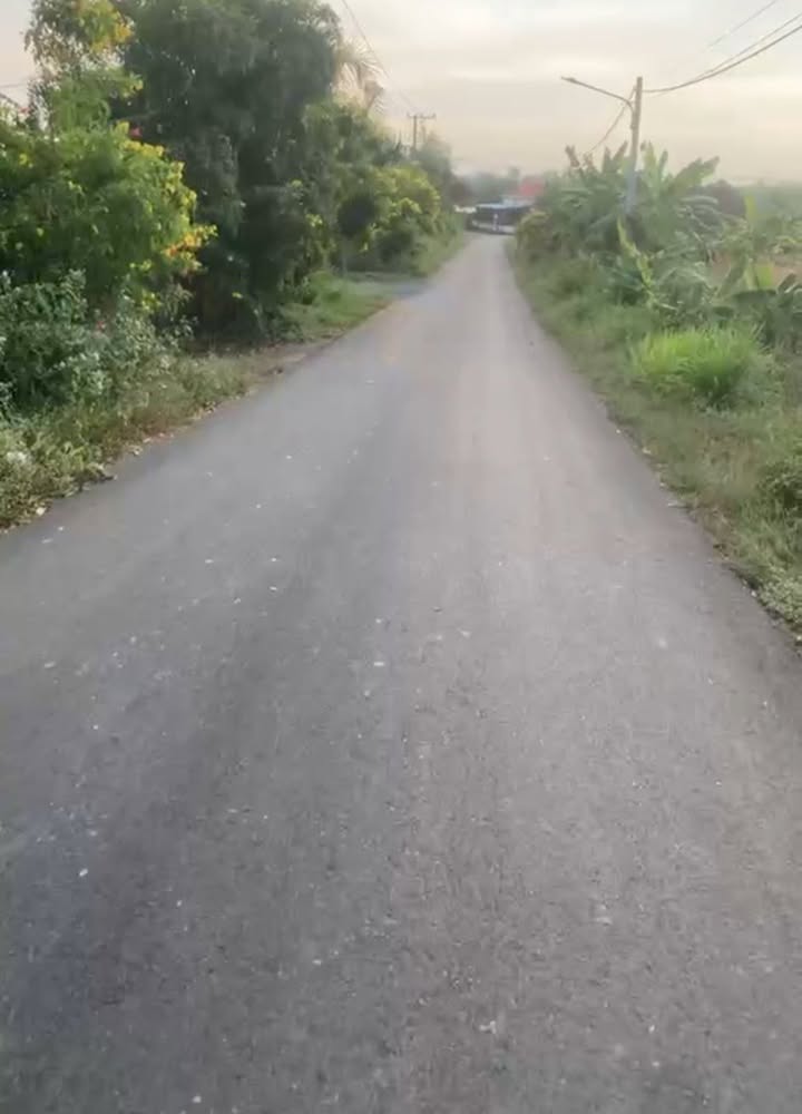 Đất nền Suối Rao Châu Đức 10.000m² - Sổ đỏ 300m² thổ cư, giá 5.5 tỷ