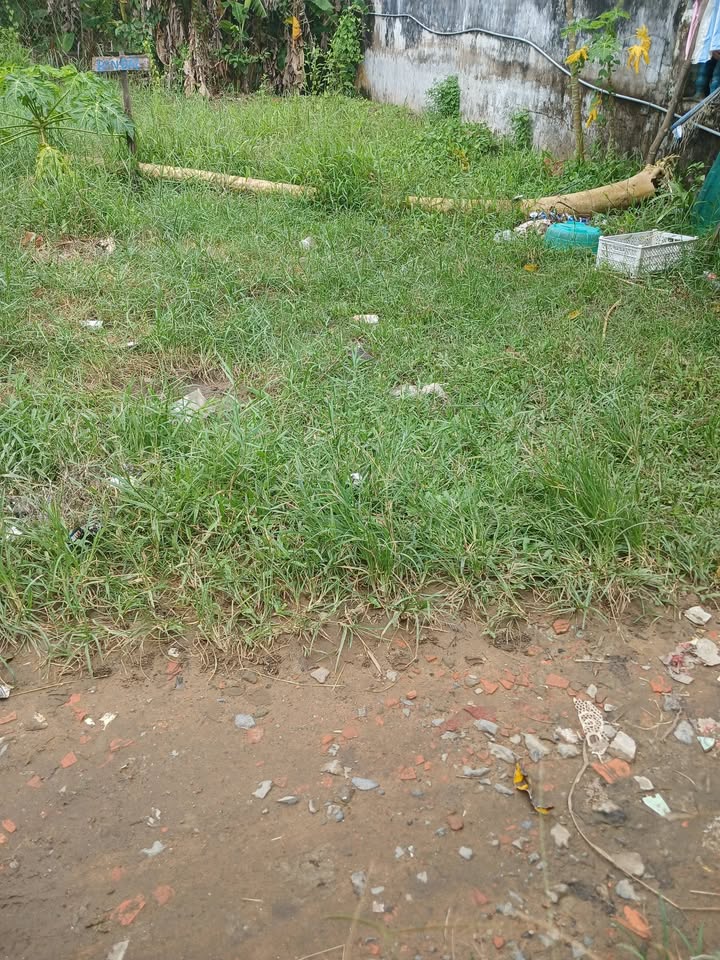 Đất nền Thị trấn Càng Long 90m² - Sổ đỏ chính chủ, chỉ 400 triệu