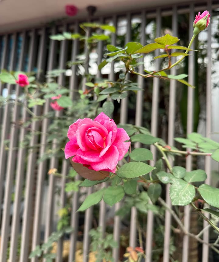 Đất nền Kosy Beat Sông Công 90m² - Sổ đỏ chính chủ!