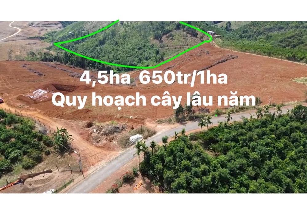 Đất nền Gia Nghĩa 4.5ha - Sổ đỏ chính chủ, tiềm năng lớn!