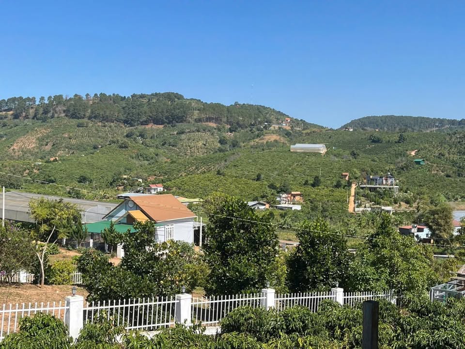 Đất Vàng Đà Lạt 10.000m² Tà Nung - Sổ Đỏ Thổ Cư, Tiềm Năng Vượt Trội