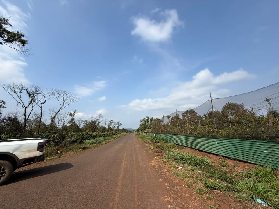 Bán Gấp Farm 11.000m² Mặt Tiền Quang Trung Nối Dài, Buôn Ma Thuột - 6.9 Tỷ