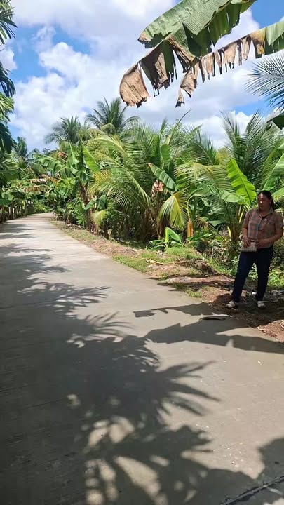 Đất vườn Đông Thắng Cờ Đỏ 5000m² 4 tỷ - Nghỉ dưỡng lý tưởng!