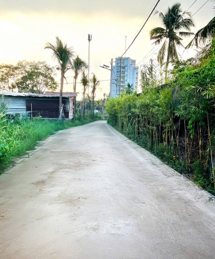 Bán Nền Cần Thơ 84m² Hẻm Tầm Vu - Sổ Hồng ODT Giá Tốt