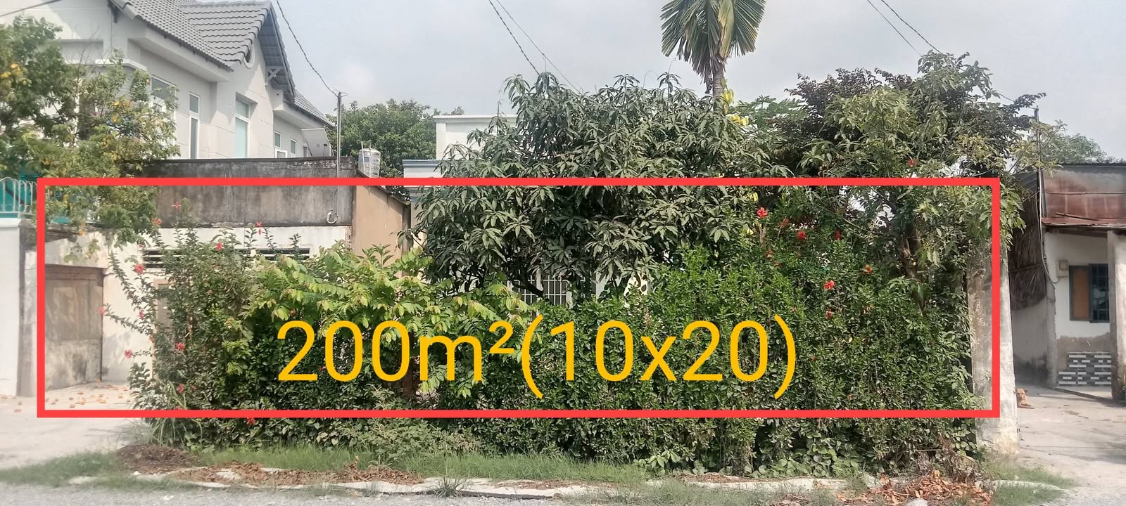 Đất nền Gò Cát, Phú Hữu, Thủ Đức 200m² - Sổ đỏ chính chủ