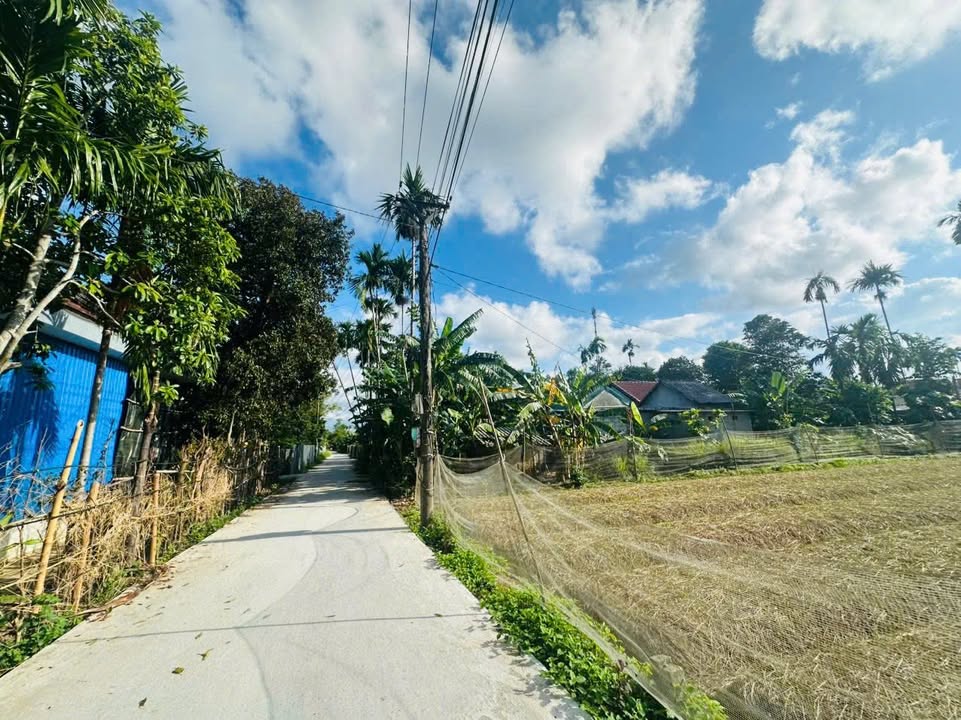 Đất nền Hương Chữ, Hương Trà, Huế 143m² - Tiềm năng tăng giá vượt trội!