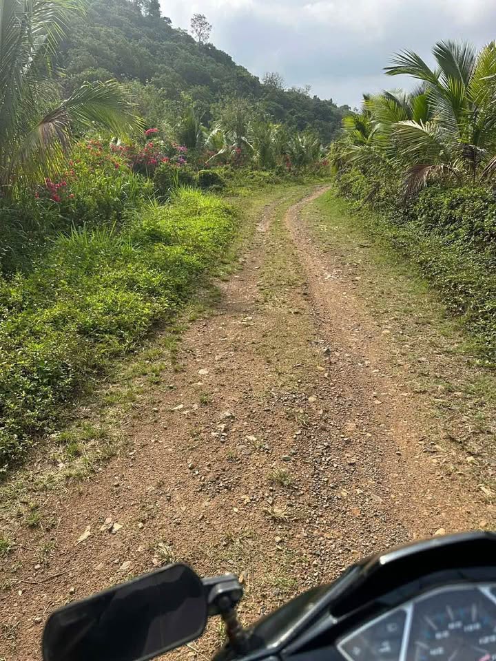 Đất nền Cư ÊBur Buôn Ma Thuột 648m² - Đường to ô tô, pháp lý rõ ràng!