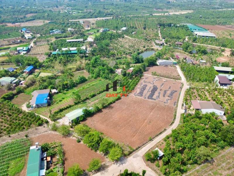 Đất Góc 2 Mặt Tiền Gần Hồ Eakao - 1333m² Thổ Cư - 3.45 Tỷ