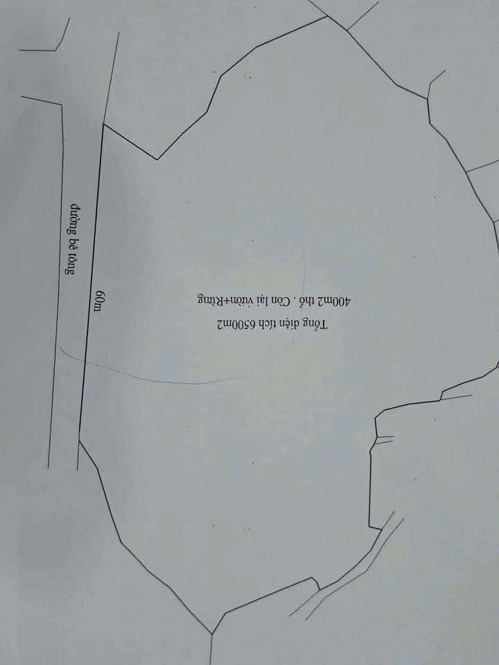 Đất nền Phồn Xương, Yên Thế 6000m² - Sổ đỏ chính chủ, ô tô vào tận nơi!