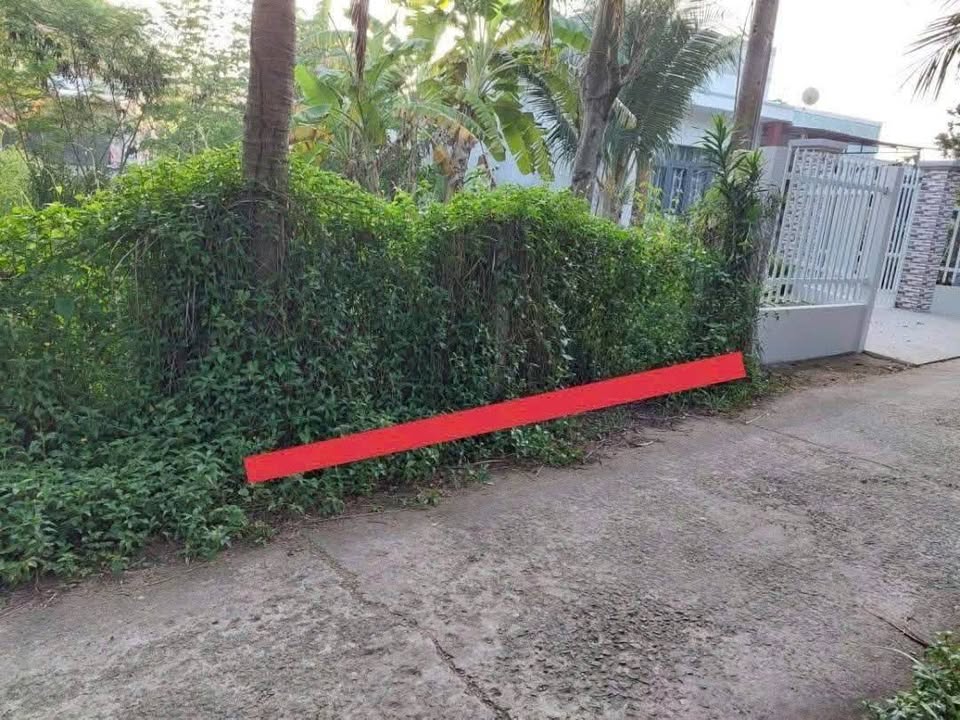 Đất Nền Mặt Tiền Nhơn Thạnh, Bến Tre - 104m² Giá 690 Triệu