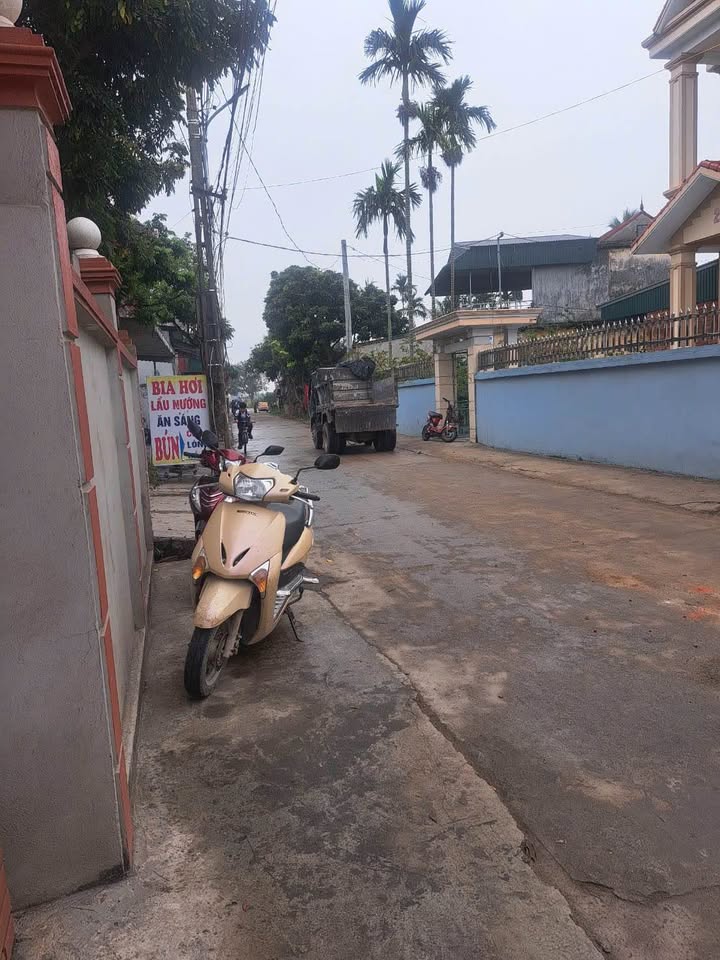 Đất nền Thanh Hà, Hải Dương 120m² - Sổ đỏ chính chủ, kinh doanh tốt!