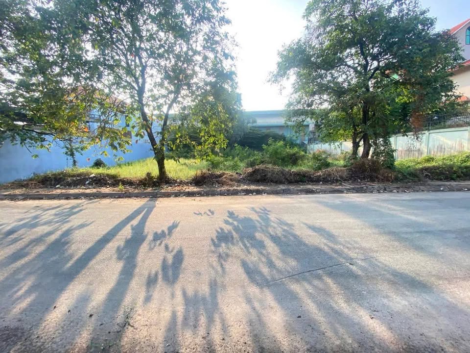 Đất Biệt Thự Dĩ An 336m² - Vị Trí Vàng, Sổ Hồng Sẵn!