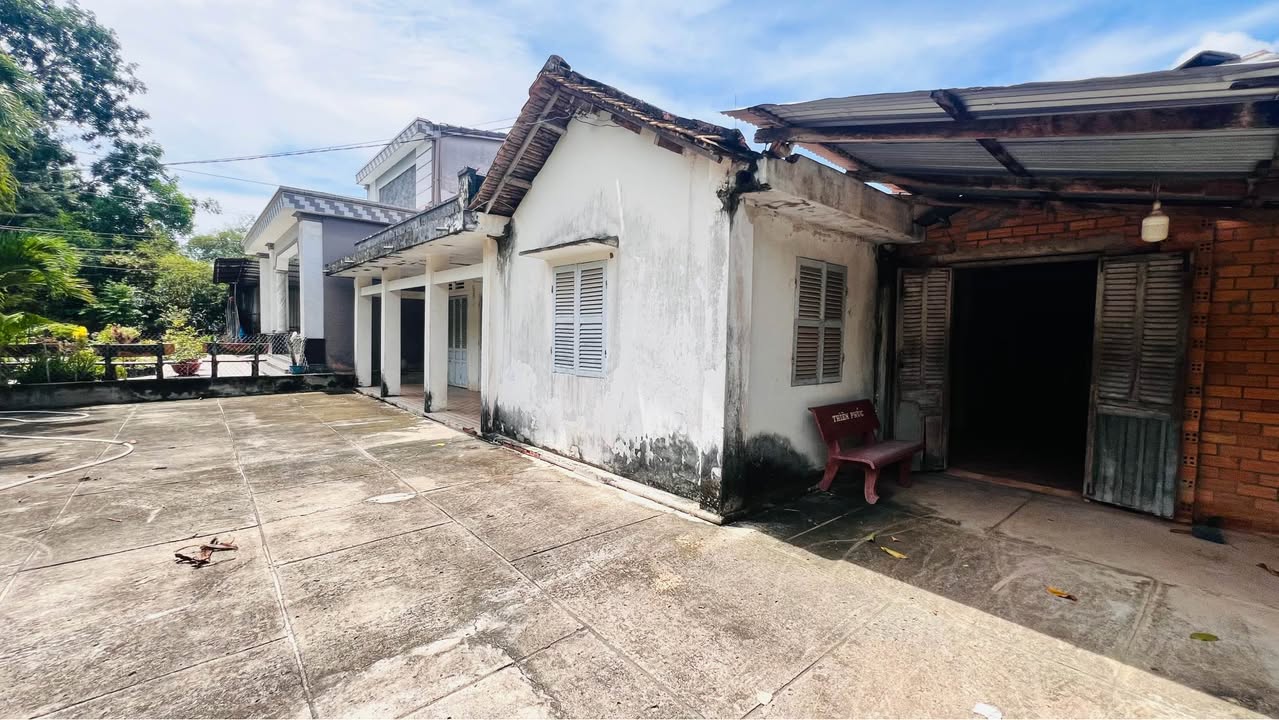 Nhà Vườn Tây Ninh 2700m² - Giá Đầu Tư Tốt, Sẵn Sàng An Cư!