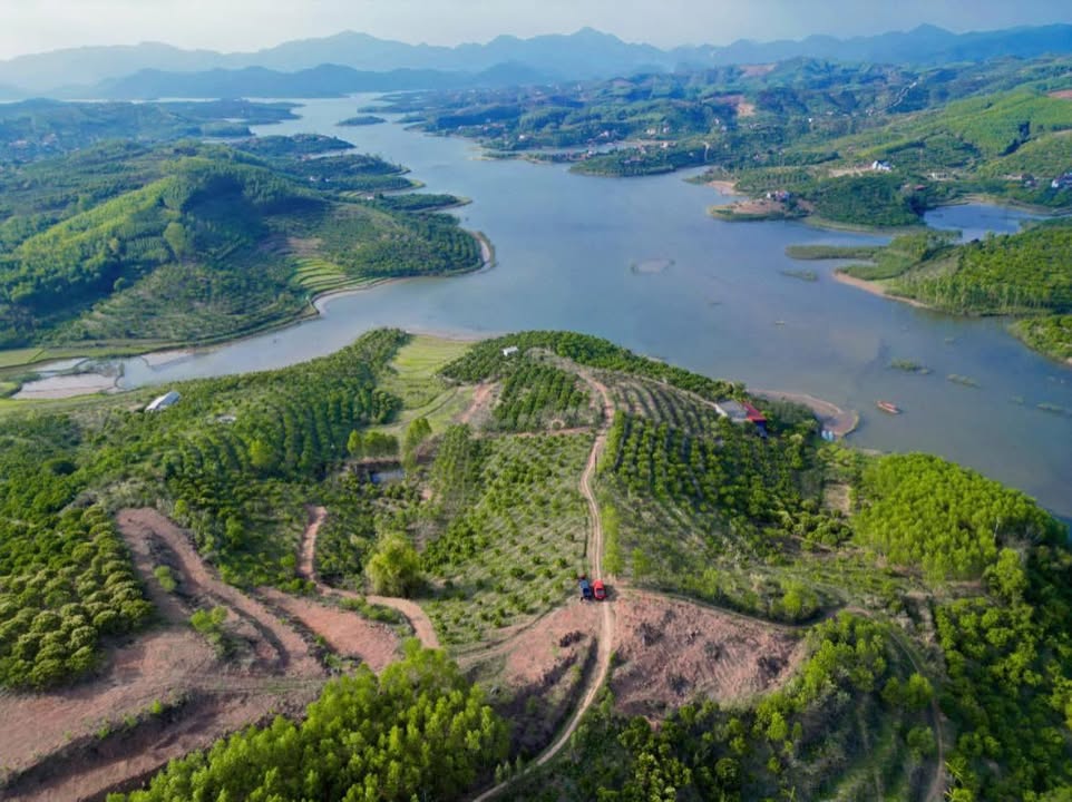 Bán gấp vườn Vải 8000m² view Hồ Cấm Sơn, Lục Ngạn - Giá từ 1 tỷ